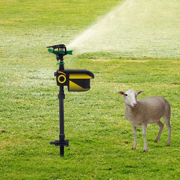 Sprinkleranlage für Gartenbewässerung – Einstellbarer Bewässerungs-Sprinkler mit Standfuß