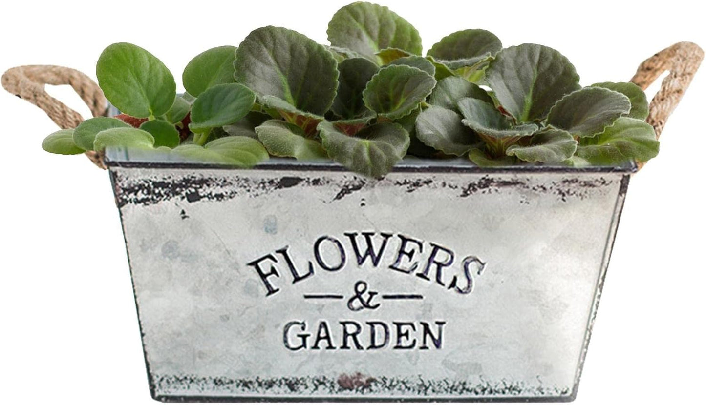 Dekorativer Blumen- und Gartenbehälter aus Metall mit Hanfseilgriffen