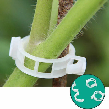 Pflanzenstützclip für Kletterpflanzen – Flexibler Halter für Pflanzenstämme