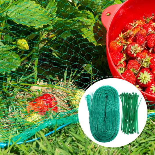 Schutznetz für Gartenpflanzen – Grünes Netz gegen Schädlinge und Tiere