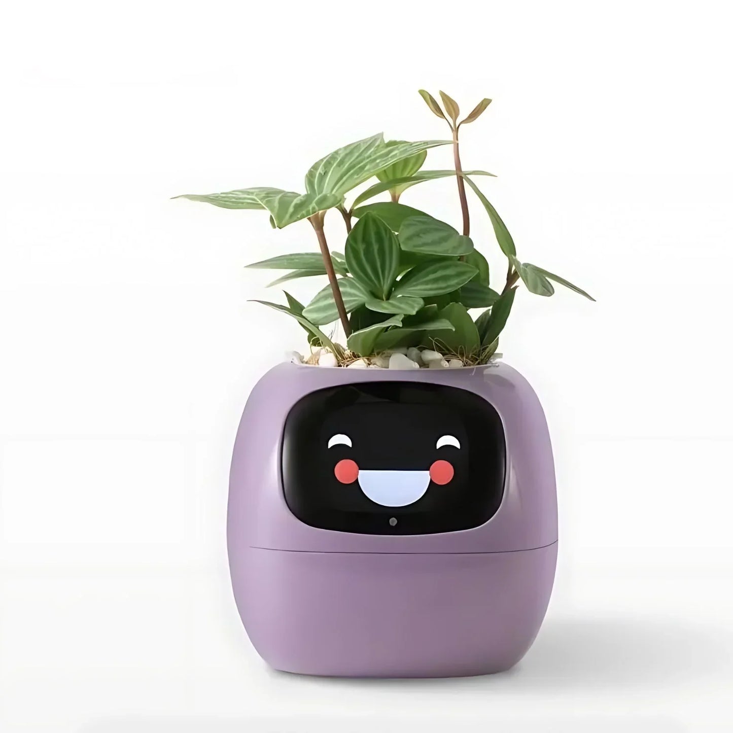 Automatischer Smart-Blumentopf mit Bewässerungssystem und LED-Lichtern