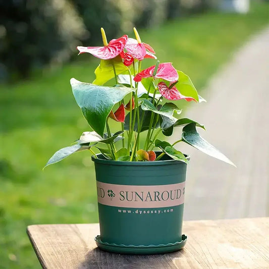 Robuster Pflanztopf aus Kunststoff – Wetterfester Blumentopf für Garten und Balkon